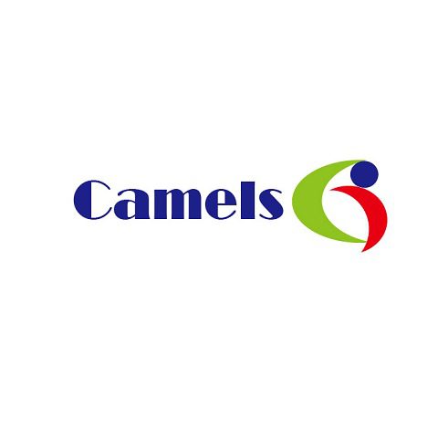 Camels-480