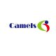 Camels-480